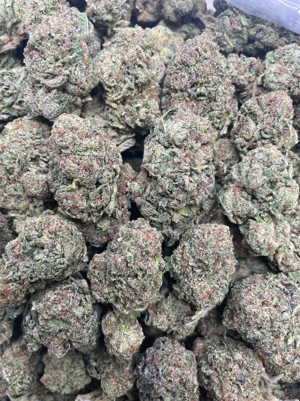 LCG strain